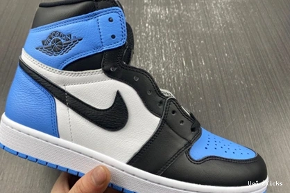 4232 1 DZ5485- 142 Jordan GoAnywhere Air High 0819